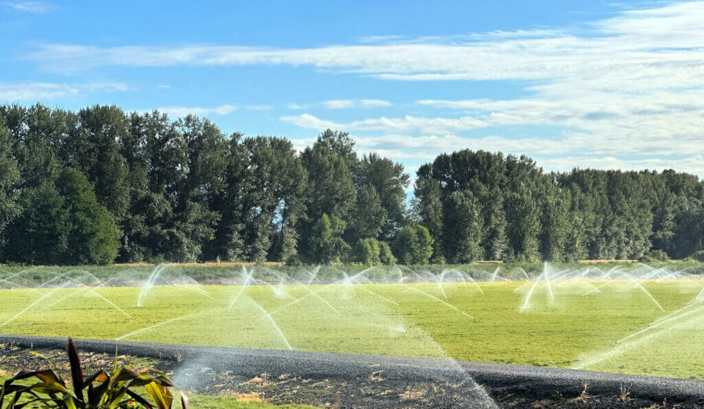 We need to use our water wisely in the Fraser Valley, ensuring our farms thrive without draining the water resources everyone in the community relies on.